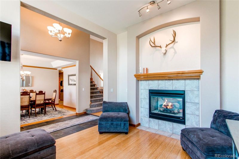 1992 Woodbourne Ter, Castle Rock, CO 80104