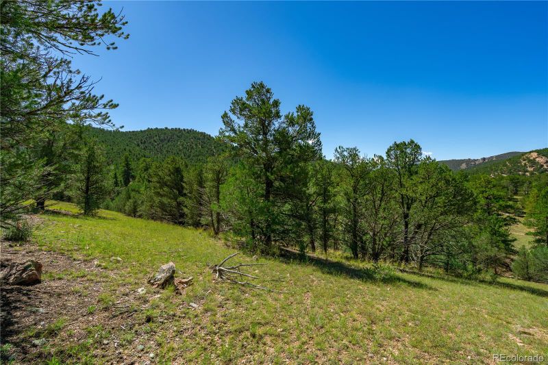 Lot 9 Sundance Rd, Cotopaxi, CO 81223