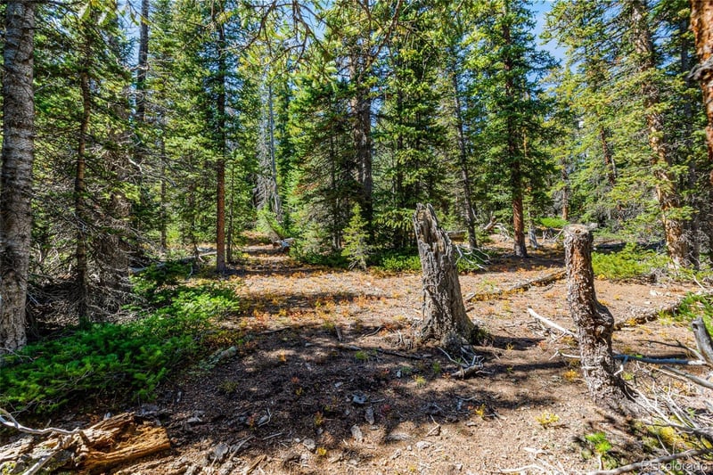 112 Sunshine Dr, Fairplay, CO 80440
