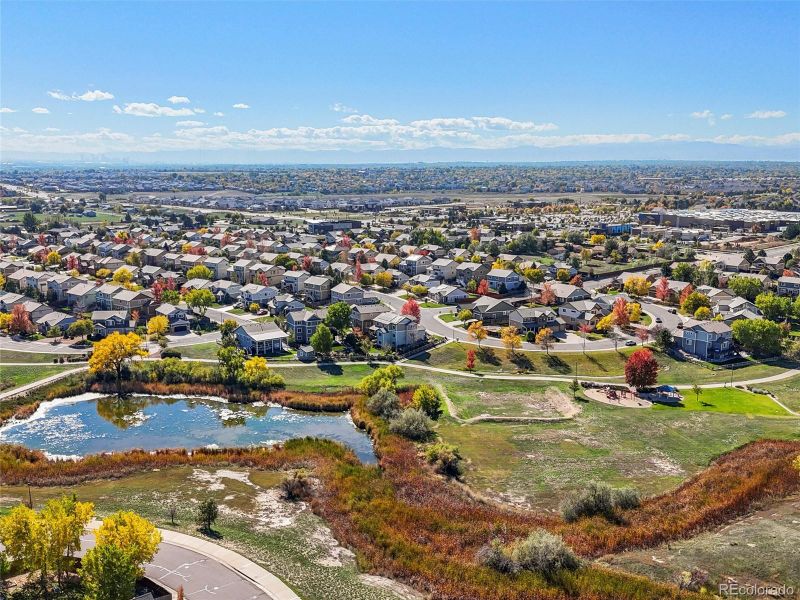13113 Trenton Pl, Thornton, CO 80602