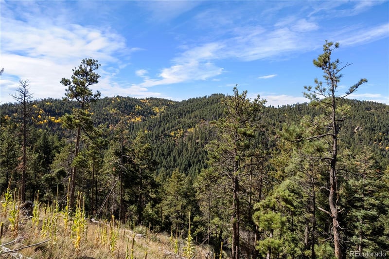 13126 Andiron Way Lot 126, Larkspur, CO 80118