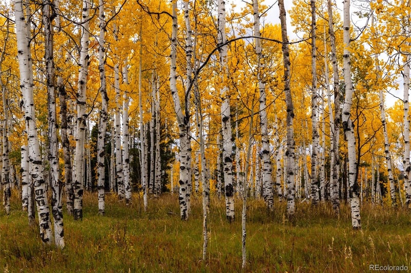 Lot 144 Sky Hitch Iv, Oak Creek, CO 80467