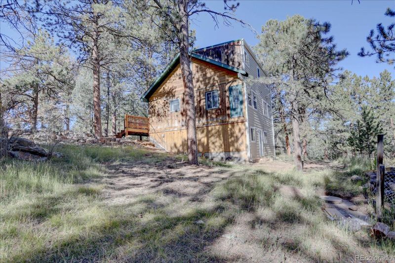 1999 Roland Dr, Bailey, CO 80421