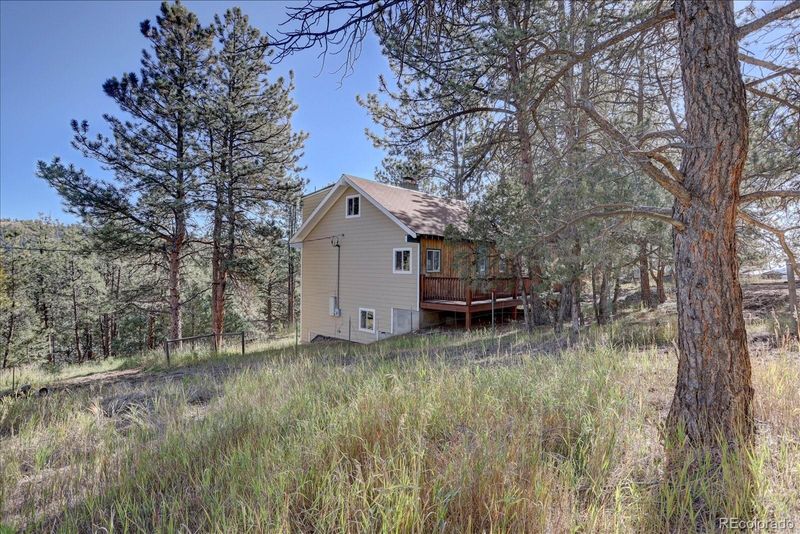 1999 Roland Dr, Bailey, CO 80421