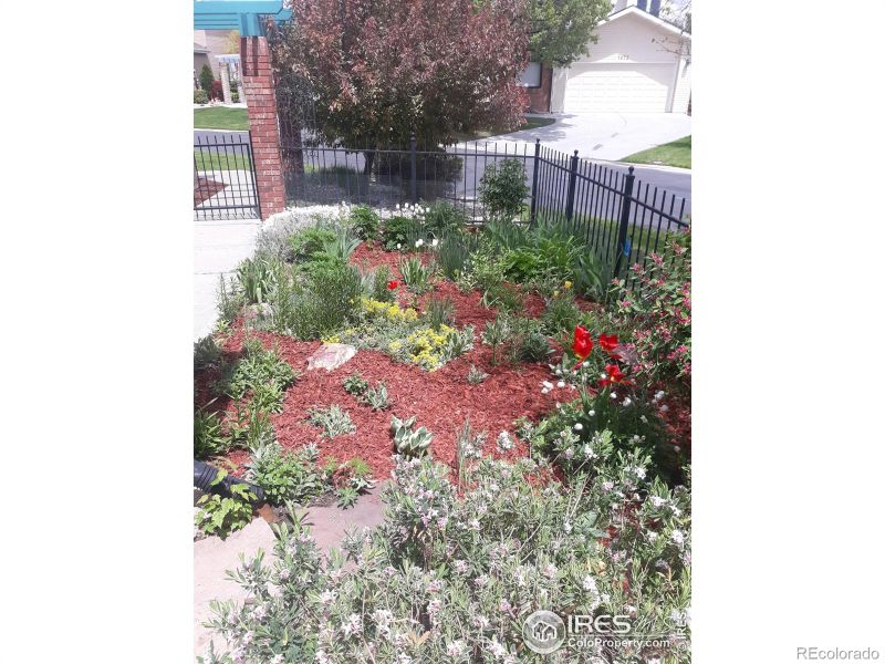 1468 Front Nine Dr, Fort Collins, CO 80525