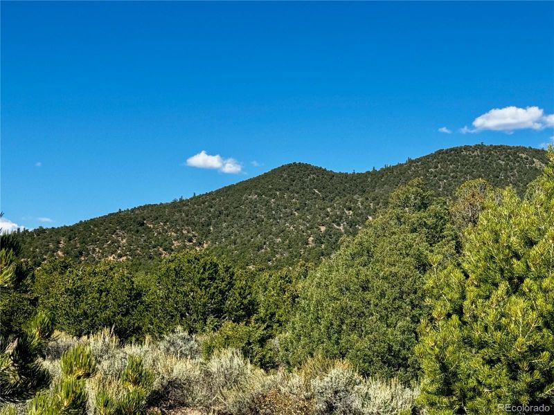 lot 1522 Dunn Rd, San Luis, CO 81152