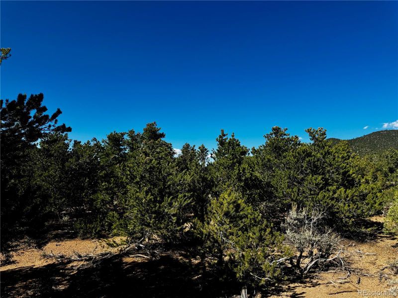 lot 1522 Dunn Rd, San Luis, CO 81152