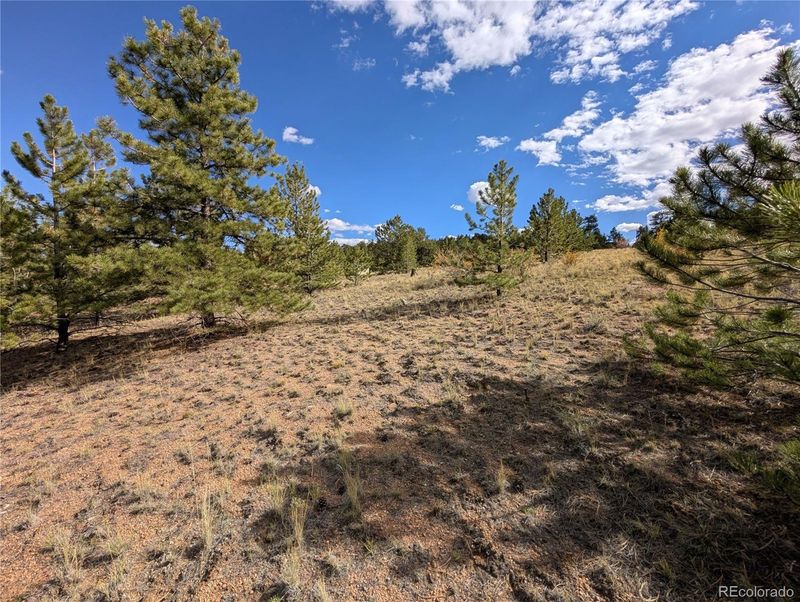 Tonkawa Rd Lot 5642, Hartsel, CO 80449