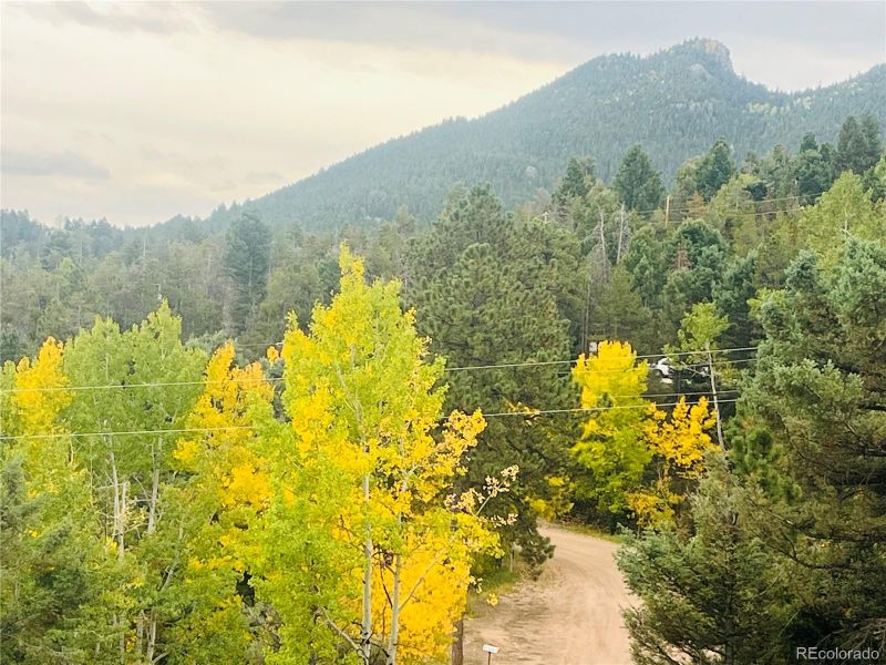 11825 Little Turtle Ln, Conifer, CO 80433