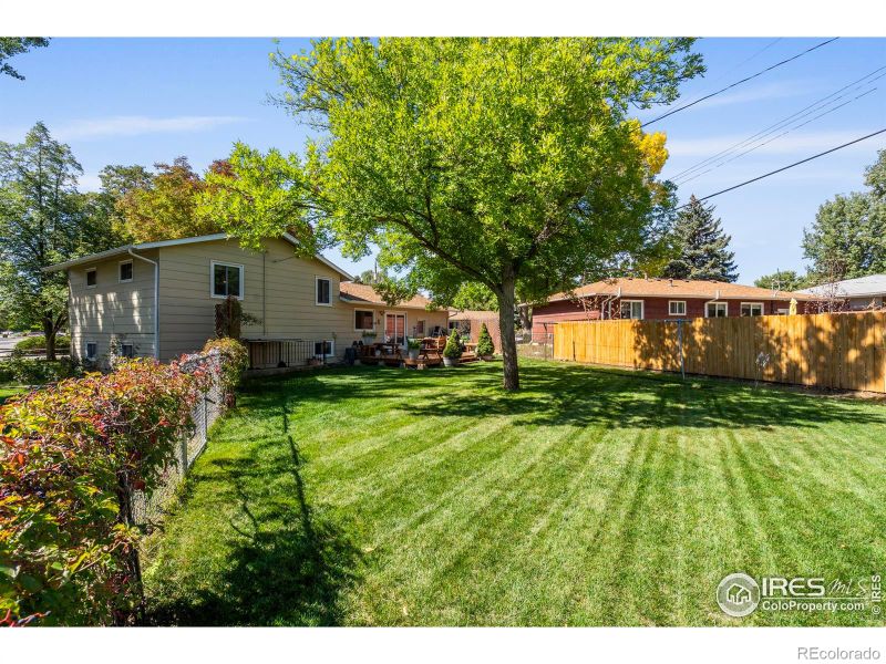 1103 Paloverde Dr, Loveland, CO 80538