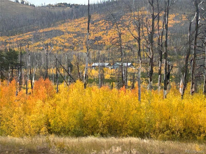 1944 Strauss Dr, Fort Garland, CO 81133