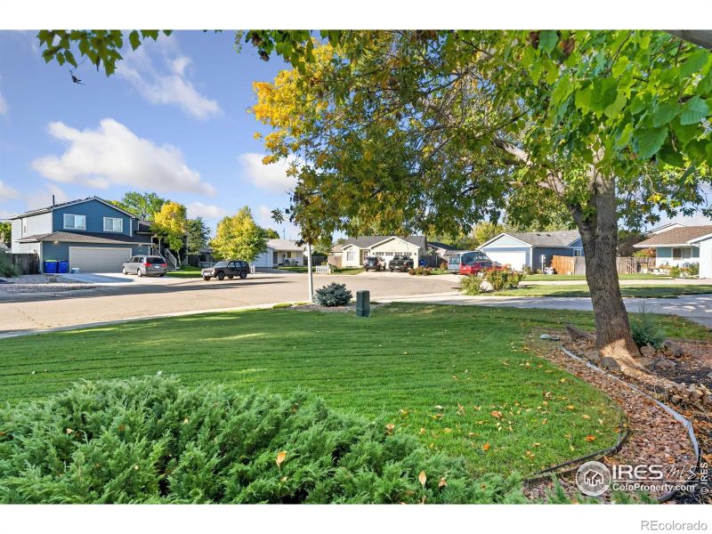 3810 Jackson Ct, Wellington, CO 80549