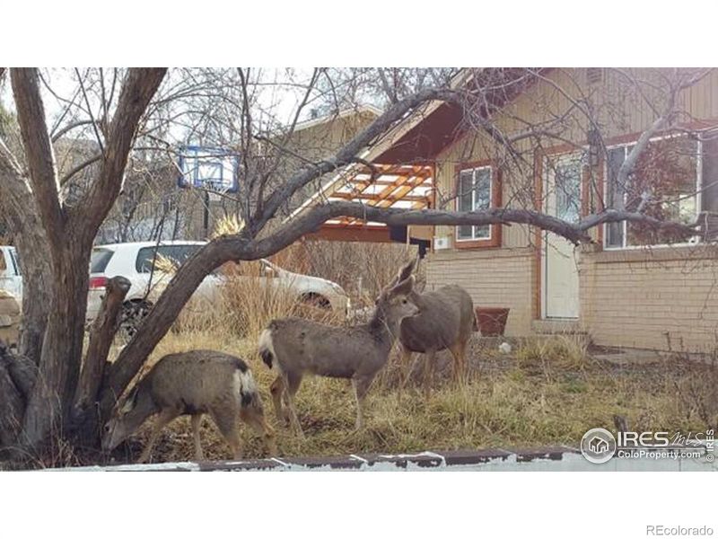 725 34th St, Boulder, CO 80303