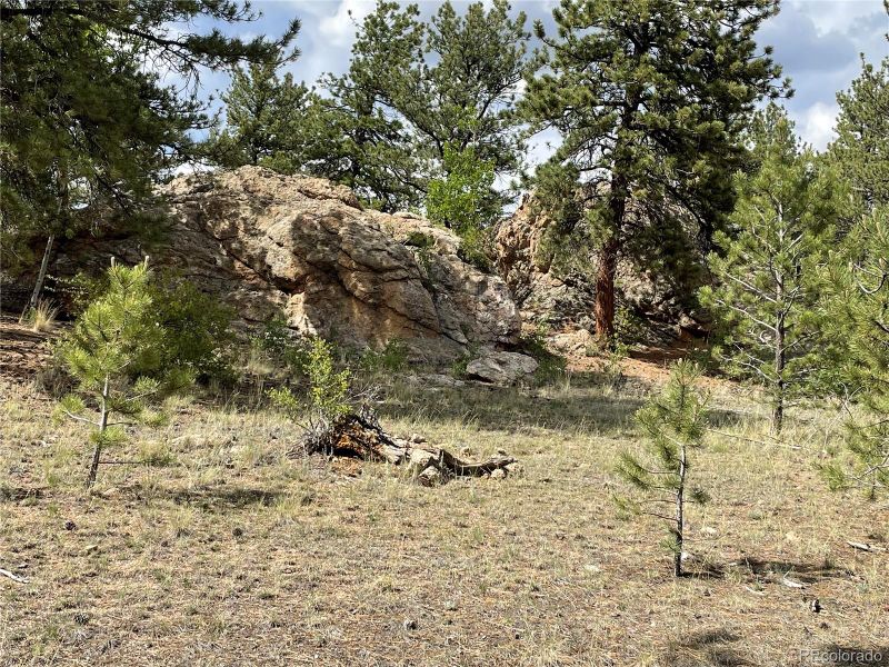 11993 Clear Creek Rd, Hartsel, CO 80449