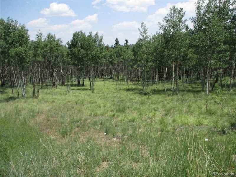 621 Hawk Way, Como, CO 80432