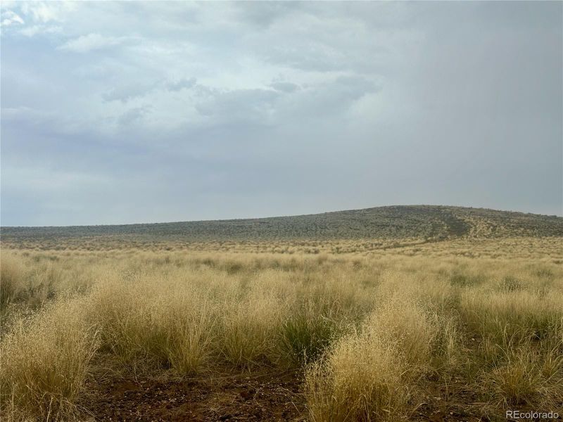 lot 11 Alyssum Cir, Blanca, CO 81123