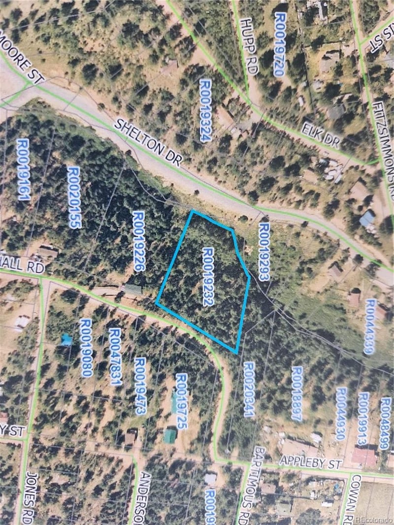 72 Hall Rd, Bailey, CO 80421