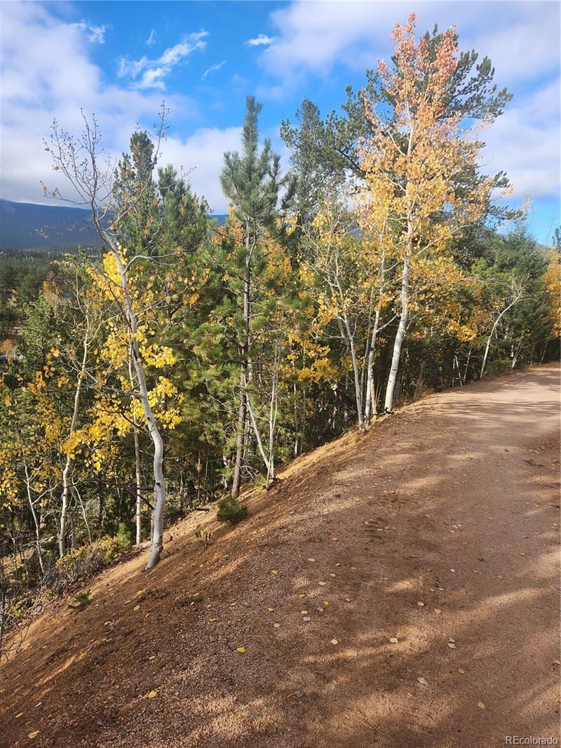 72 Hall Rd, Bailey, CO 80421