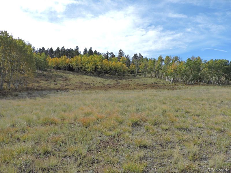 400 Aspen Way Dr, Lake George, CO 80827