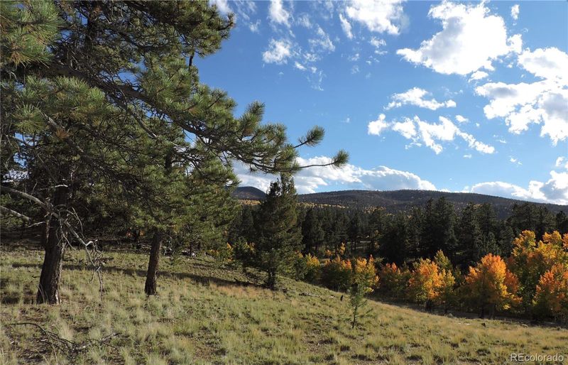 5113 Campfire Rd, Hartsel, CO 80449