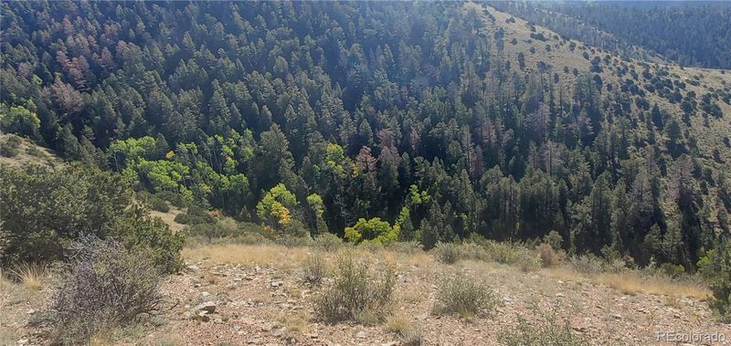 Lot 5820 Covington Rd Lot 5820, Fort Garland, CO 81133