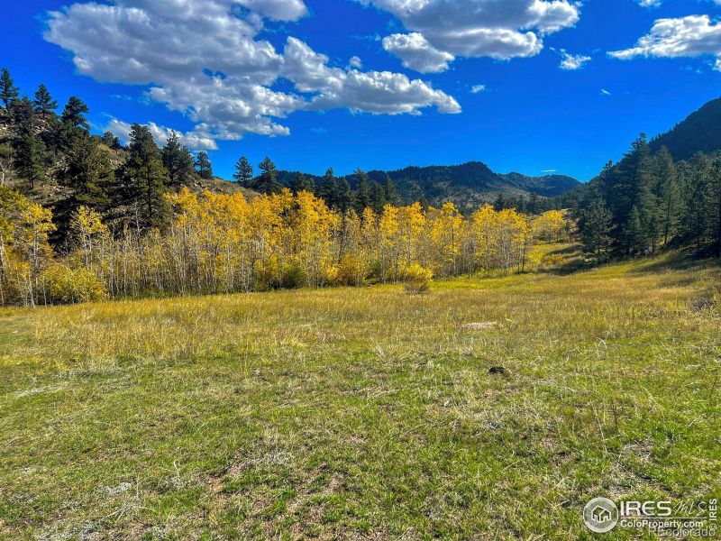6215 Mill Creek Rd, Livermore, CO 80536