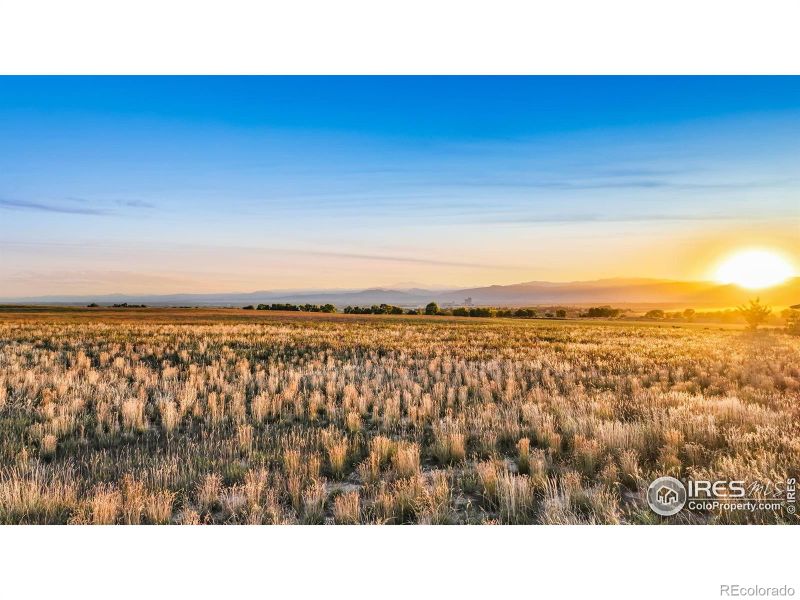 3445 Taliesin Way, Fort Collins, CO 80524