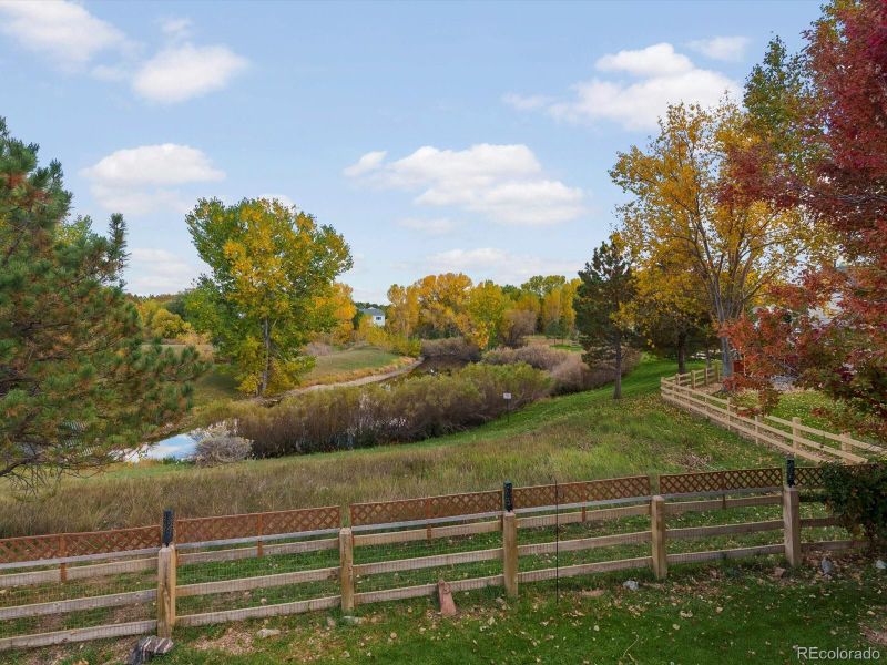 11710 Meadowood Ln, Parker, CO 80138