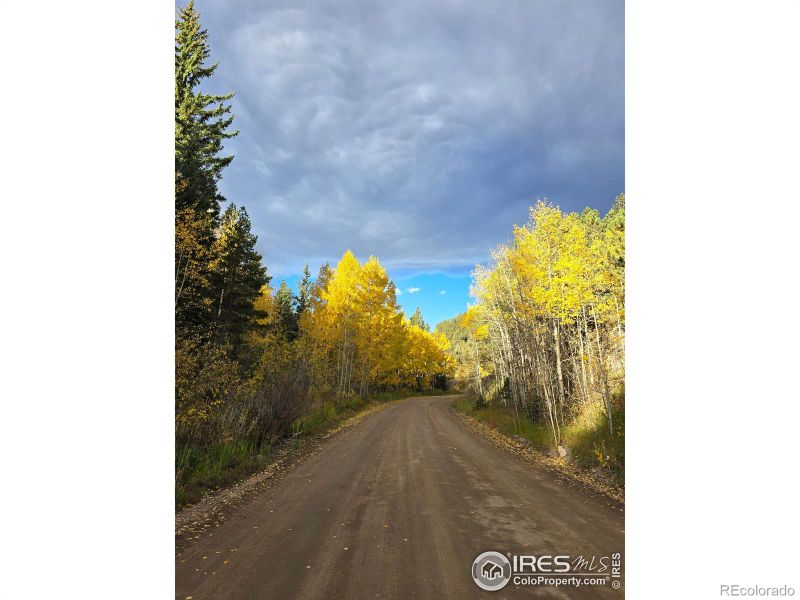 0 Arapaho Dr, Bellvue, CO 80512