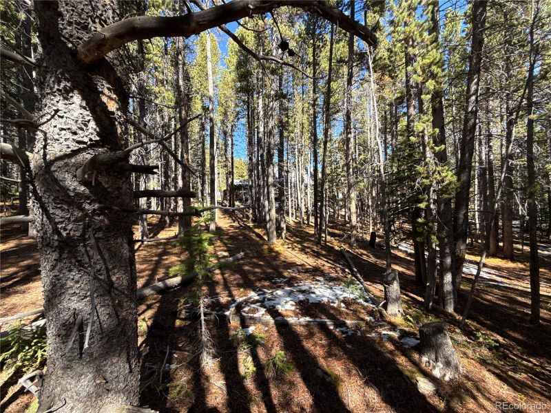 1010 Upper Forest Rd, Idaho Springs, CO 80452