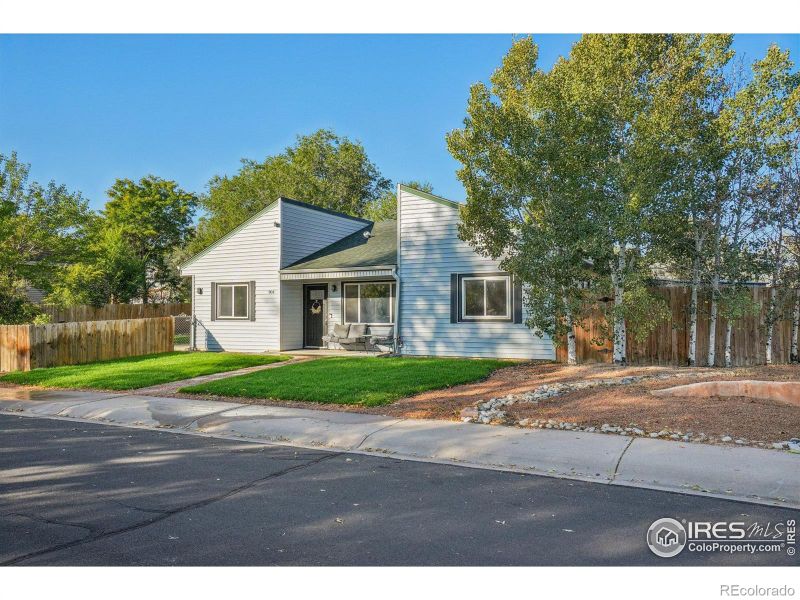 904 Woodbine Dr, Windsor, CO 80550