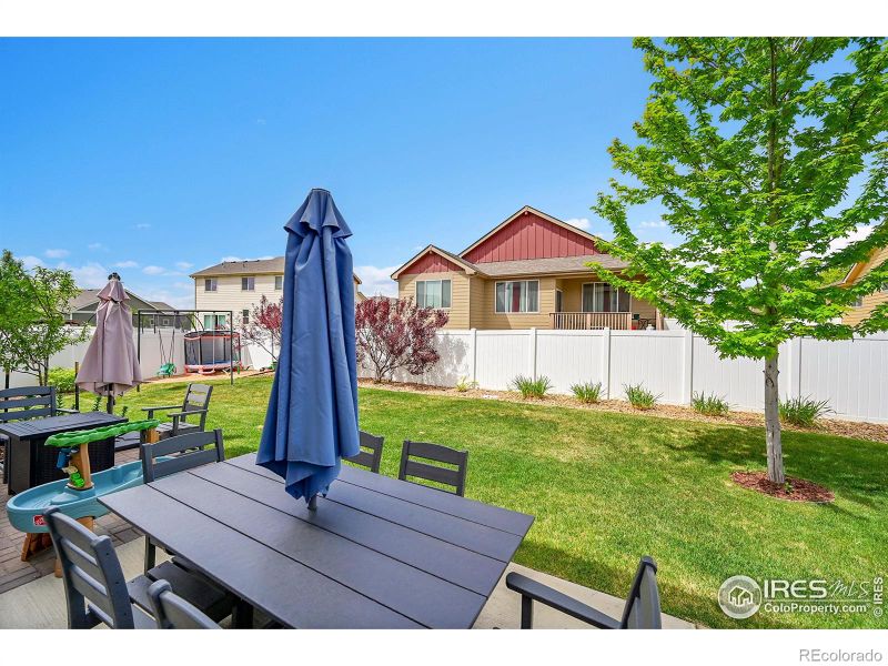 711 Mt Evans Ave, Severance, CO 80550