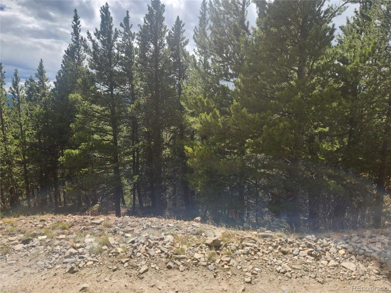 491 Hilltop, Idaho Springs, CO 80452