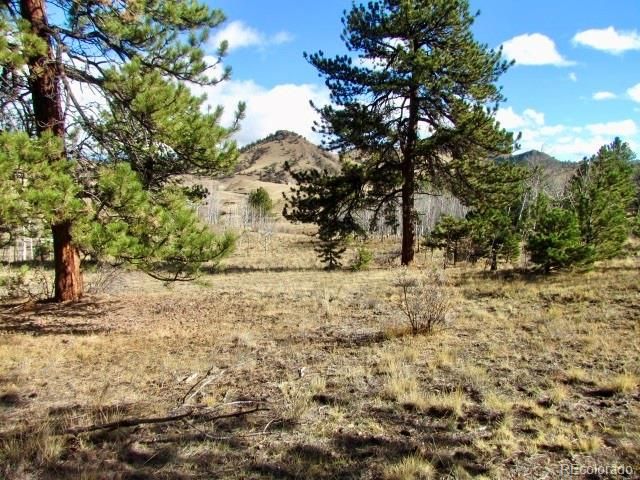 Tbd Cherokee Trl, Hartsel, CO 80449