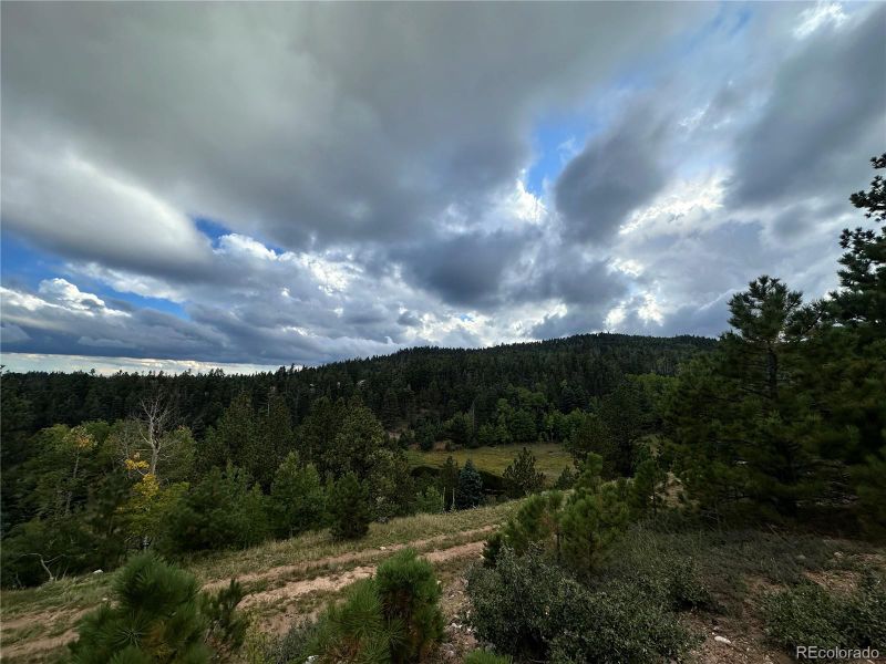 9010 County Road 21 1, Weston, CO 81020