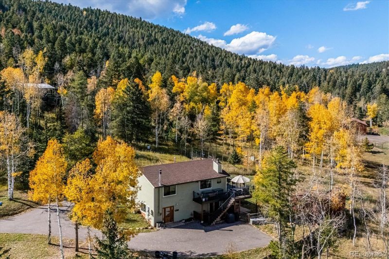 12369 Quartz Spur, Conifer, CO 80433