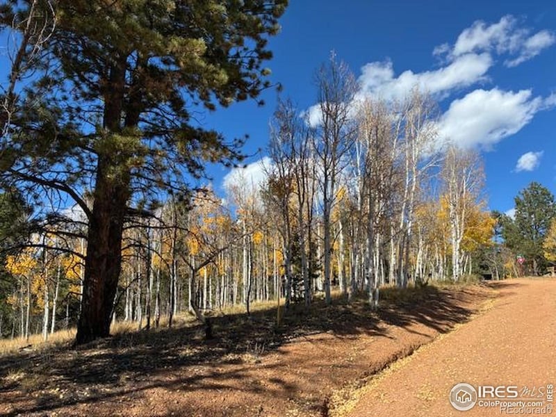 85 Remwood Cir, Divide, CO 80814
