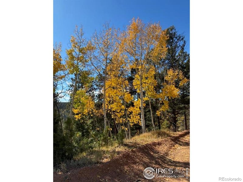 85 Remwood Cir, Divide, CO 80814