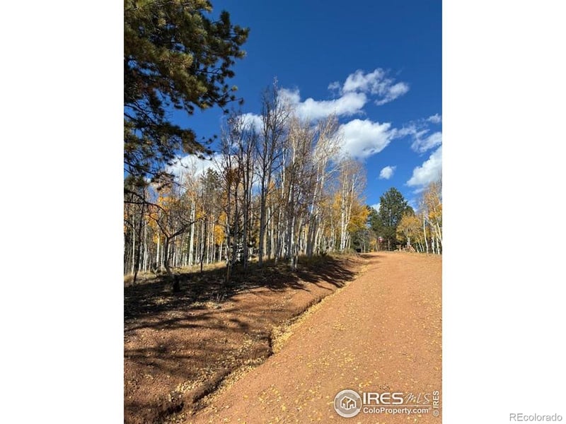 85 Remwood Cir, Divide, CO 80814