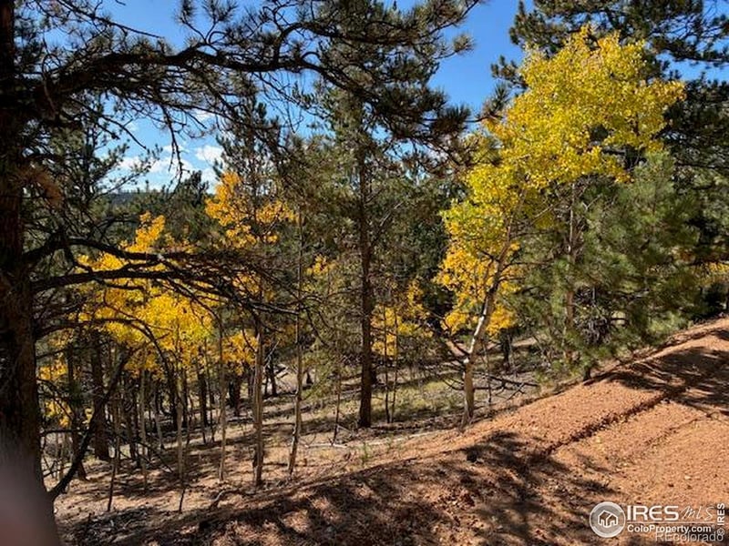 85 Remwood Cir, Divide, CO 80814