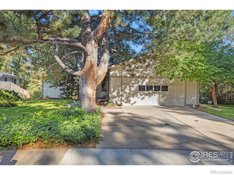 1647 36th Ave Ct, Greeley, CO 80634