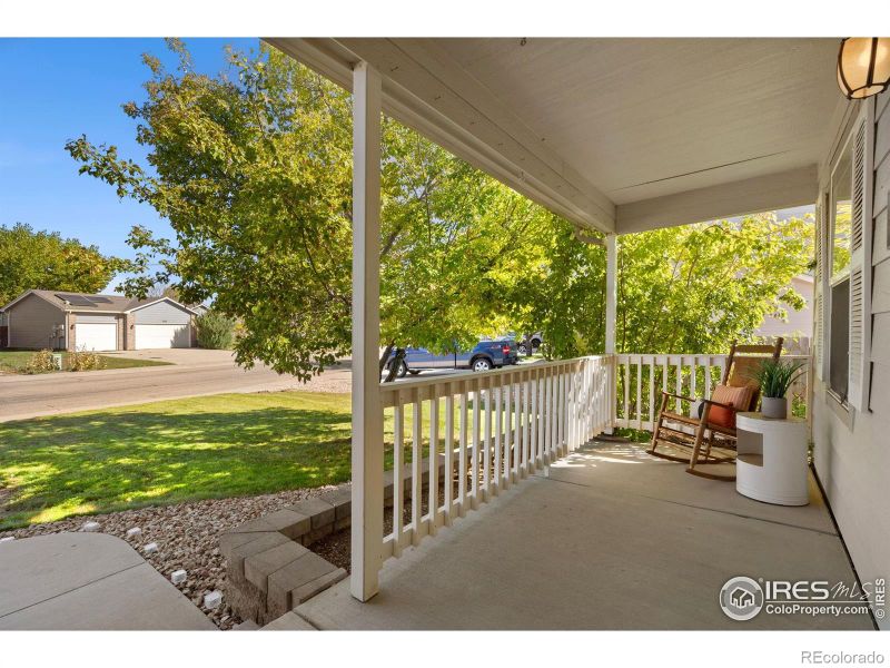 3312 Man O War Dr, Wellington, CO 80549