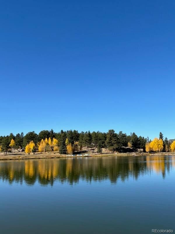 18 Remuda Ln, Florissant, CO 80816