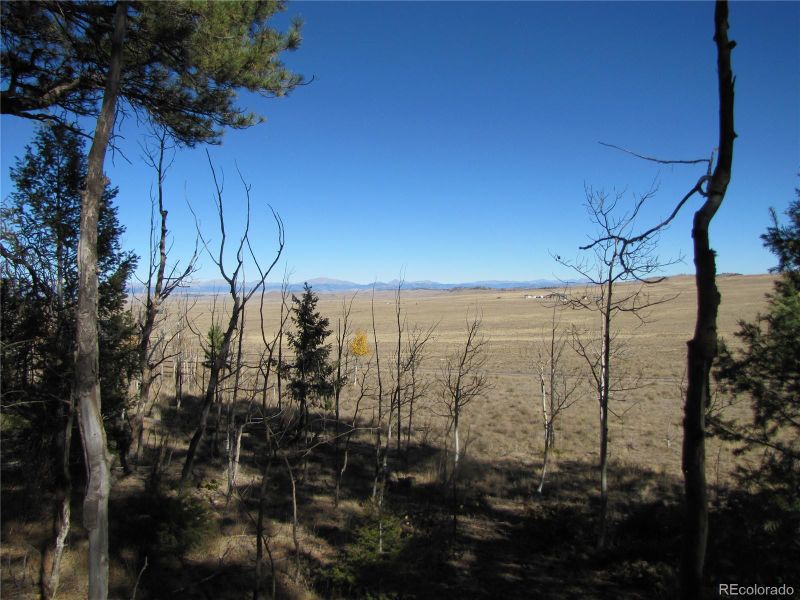 313 Aspen Ln, Hartsel, CO 80449