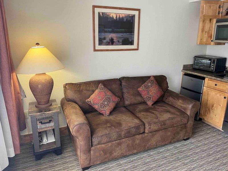 6 Emmons Rd #269, Crested Butte, CO 81225