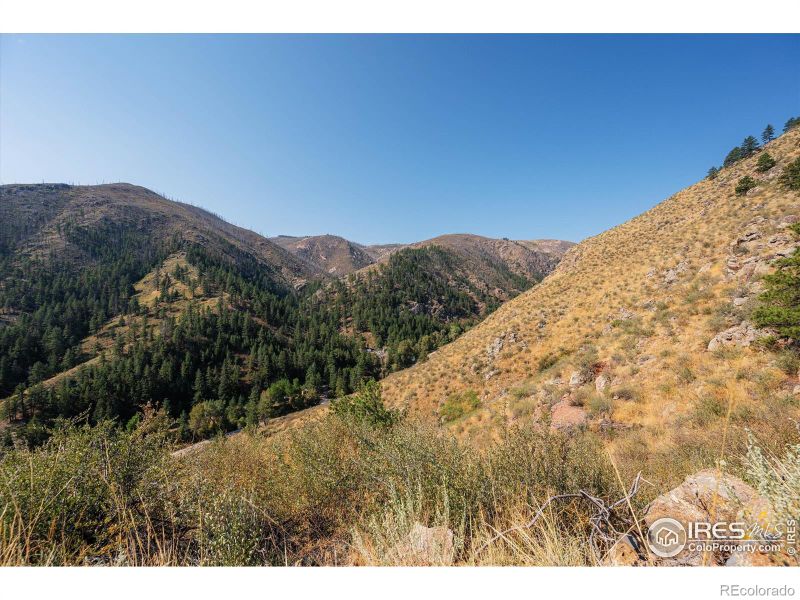 0 Pine Acres Way, Bellvue, CO 80512