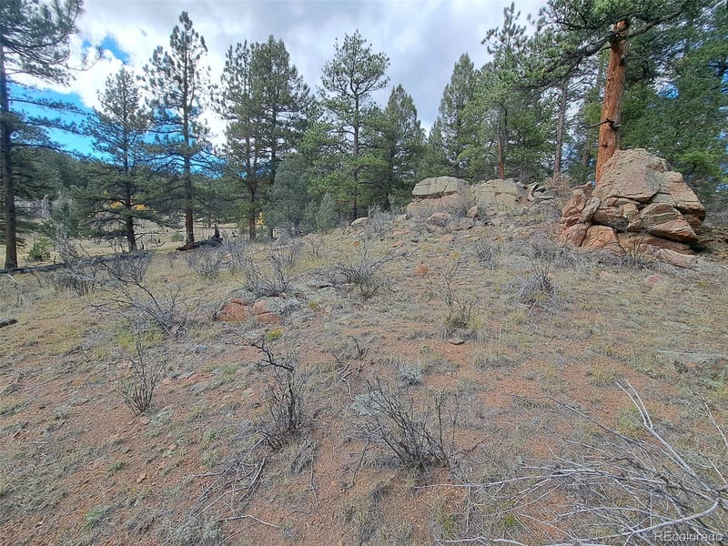 1077 Roland Dr, Bailey, CO 80421