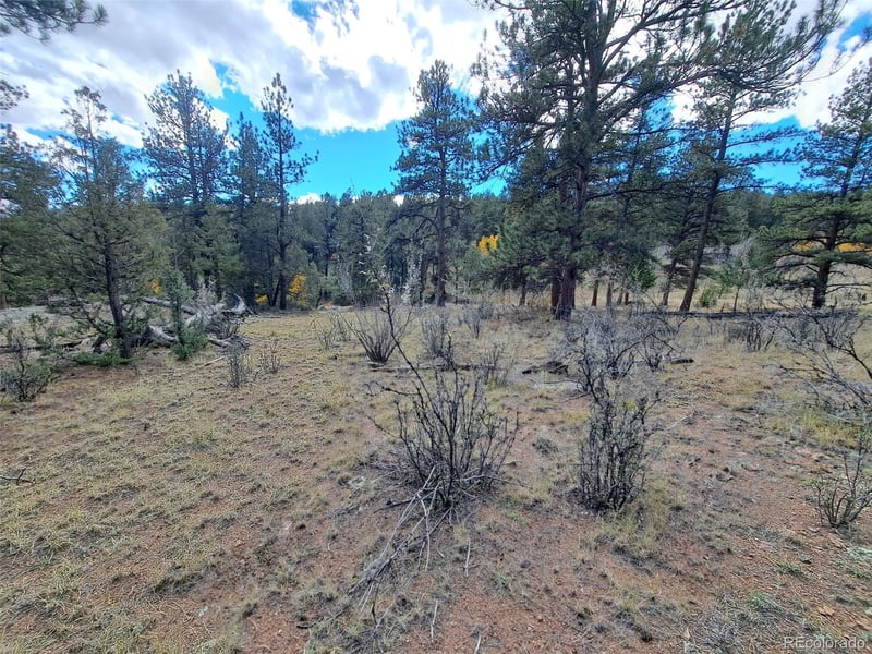1077 Roland Dr, Bailey, CO 80421