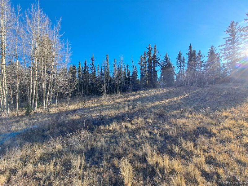 0 Hawk Way, Como, CO 80432