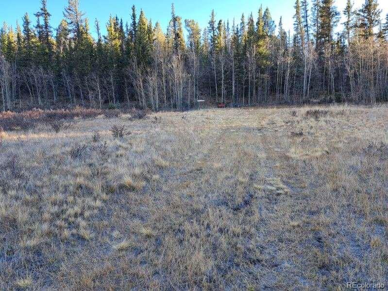 00 Haida Ln, Como, CO 80432